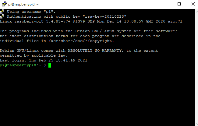 terminale raspberry da client ssh